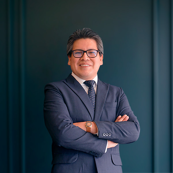 Nosotros VICTOR MAYORCA MAYHUASCA